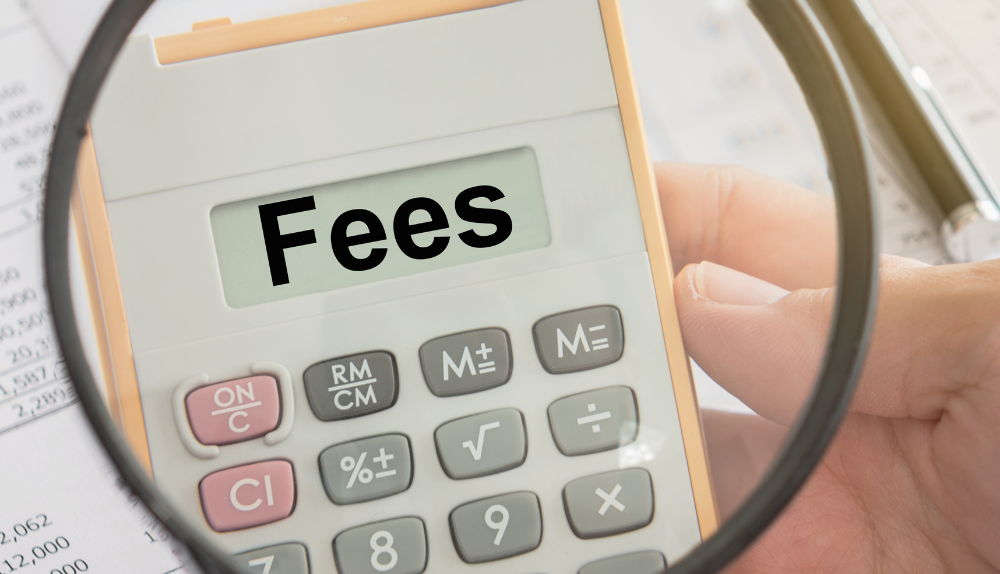 What Determines Credit Card Fees